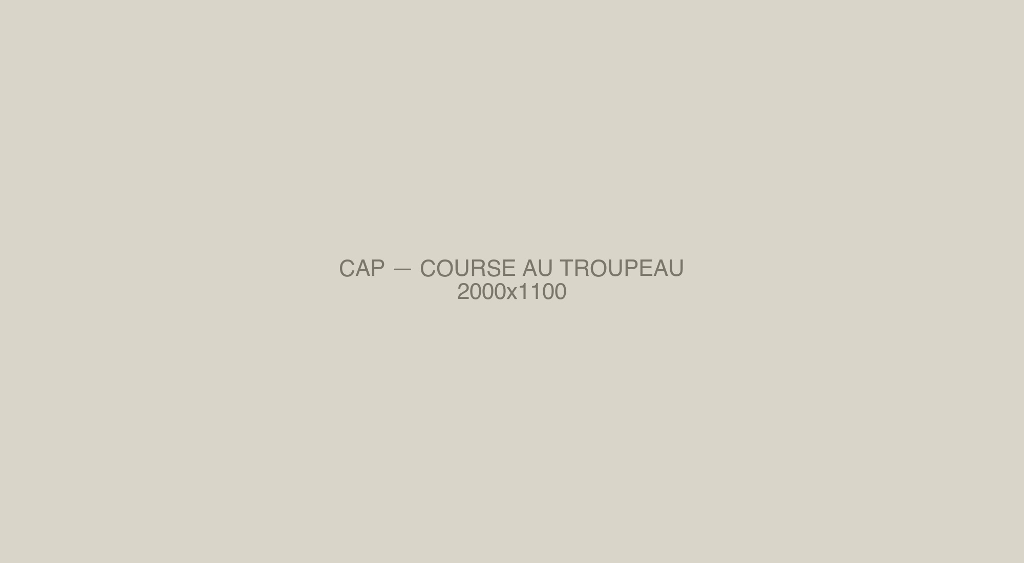 Cap en course rasante autour d'un groupe de brebis Lacaune, lumière de matin
